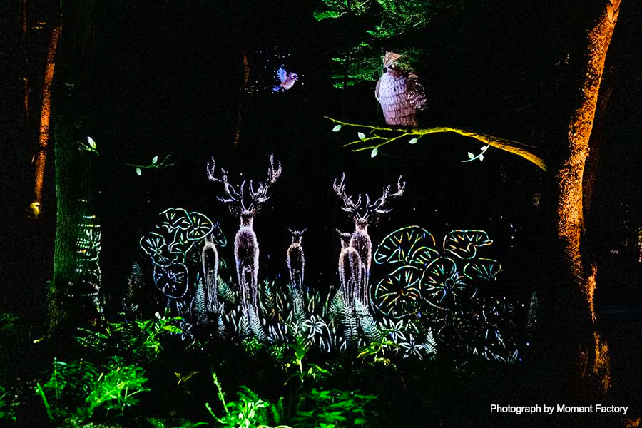 案例｜旋乐吧为壮观的Kamuy Lumina魔法夜行旅游项目提供配乐设备